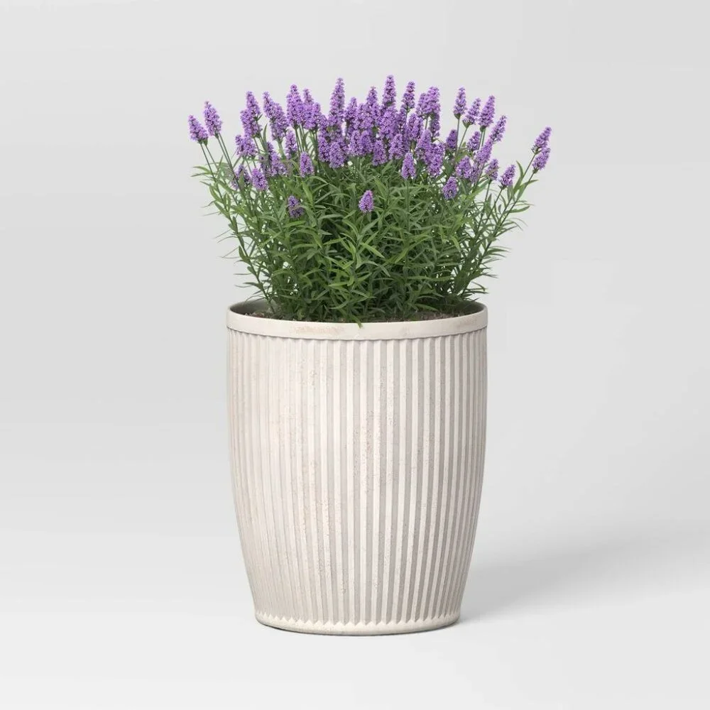 Weathered Ribbed Composite Indoor/Outdoor‎ Planter – Threshold Studio McGee